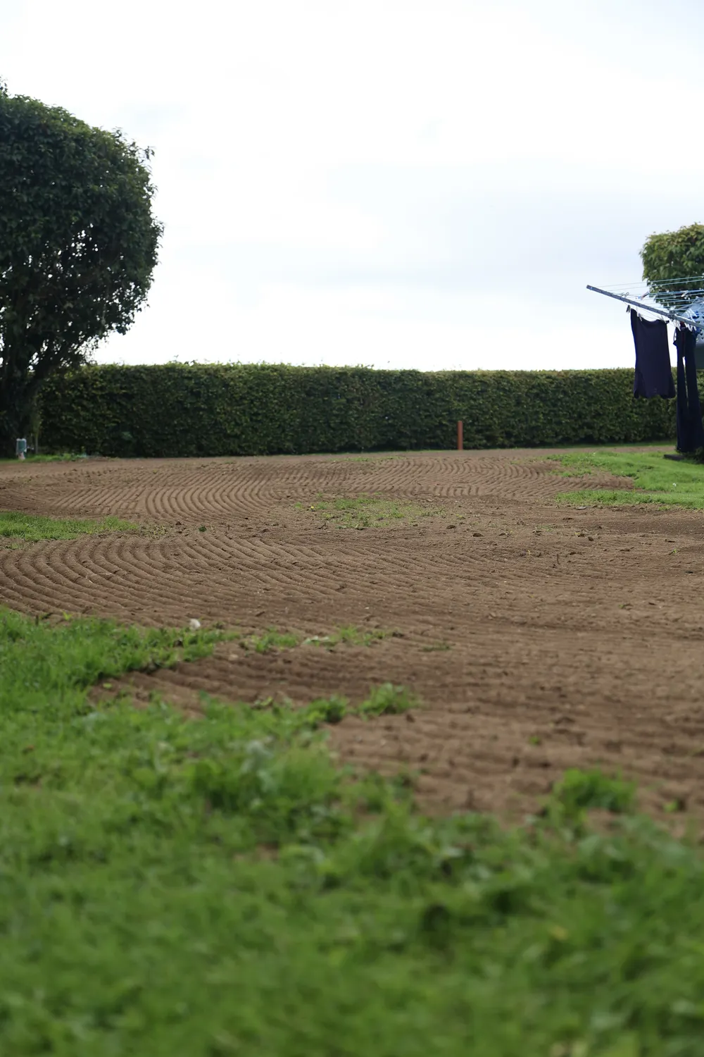 Freshly worked soil alongside an existing patch of lawn