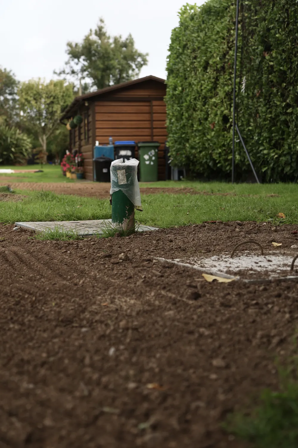 Levelled soil in a residential garden beside a hedge