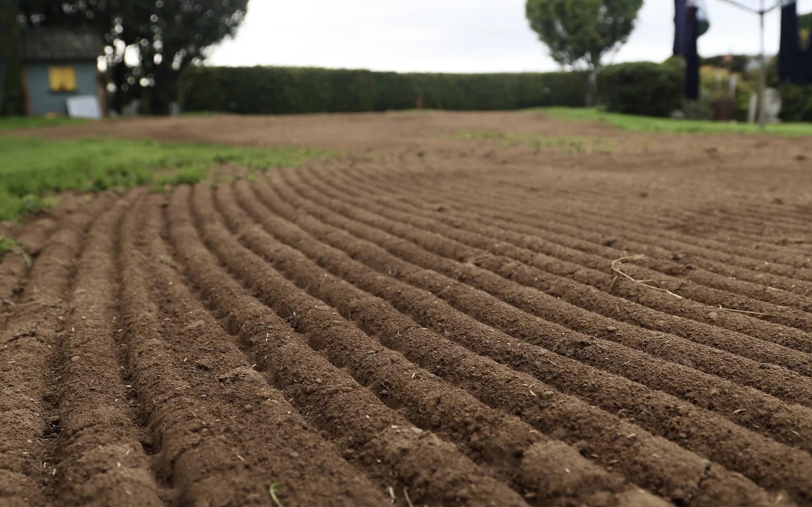 Freshly prepared and furrowed garden soil ready for a new lawn at a home in County Carlow